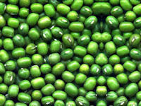 Green Moong Beans